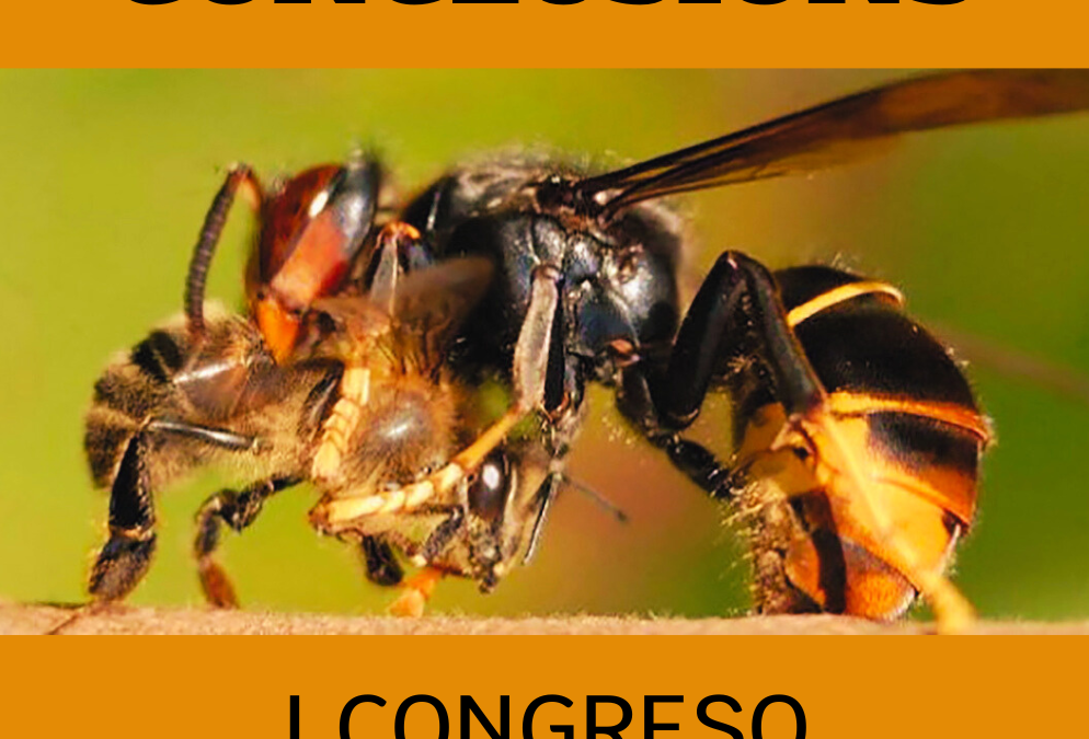 Conclusións do I Congreso de Control de Velutina